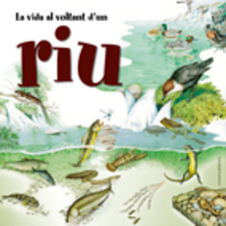 La vida al voltant d'un riu