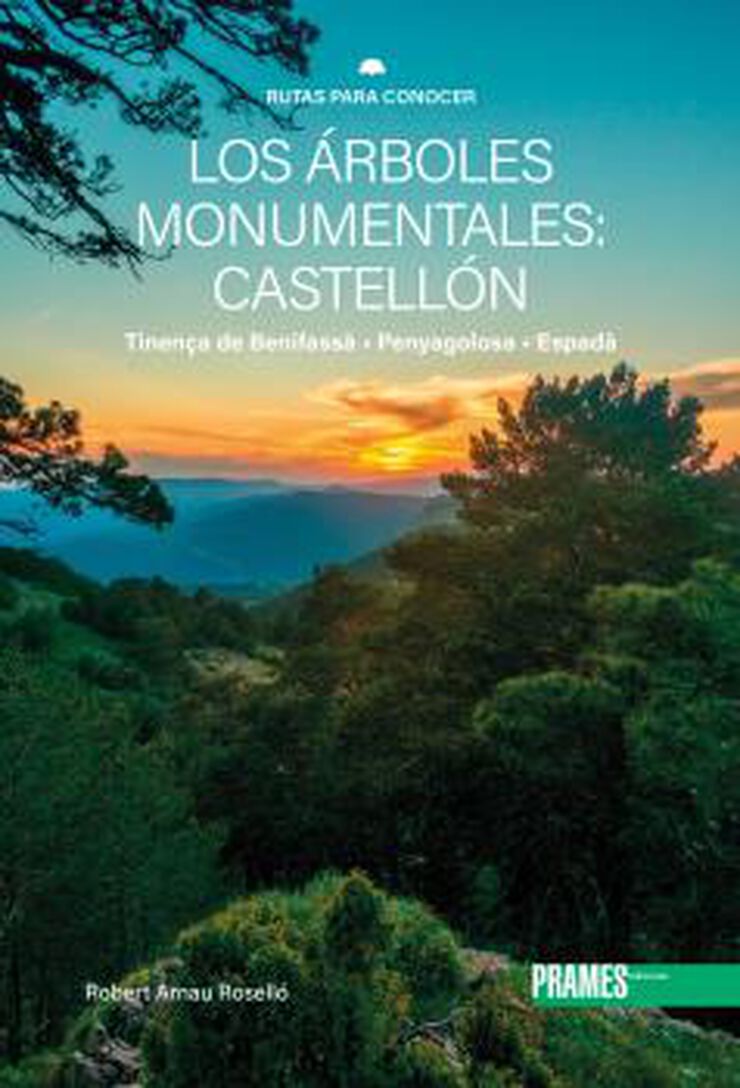 Rutas para conocer los árboles monumentales: Castellón.