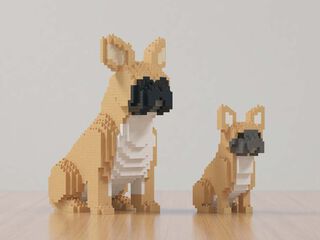 Jekca Bulldog Franc&egrave;s Mini