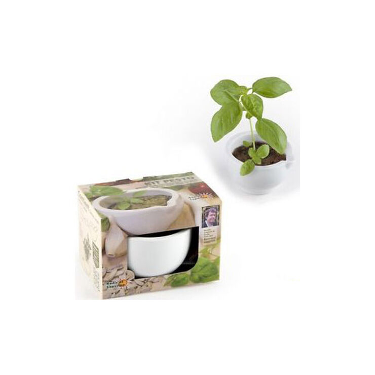 Joc Radis Et Capucine Set pesto