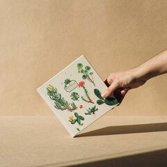 Àlbum Fotos 16X16 cm Kokonote Botanical Cacti