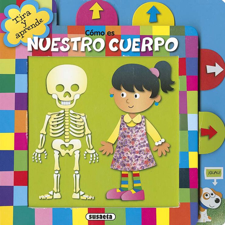 C&oacute;mo es nuestro cuerpo