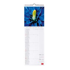 Calendario Pared Legami m/vista 2025 Succulents
