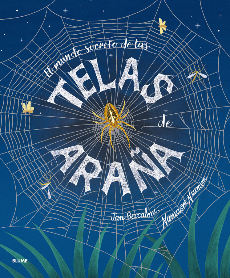El mundo secreto de las telas de ara&ntilde;a