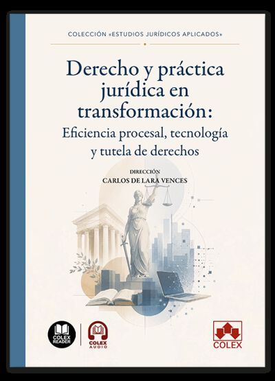 Derecho y pr&aacute;ctica jur&iacute;dica en transformaci&oacute;n: eficiencia procesal, tecnolog&iacute;a y tutela de derechos