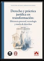 Derecho y pr&aacute;ctica jur&iacute;dica en transformaci&oacute;n: eficiencia procesal, tecnolog&iacute;a y tutela de derechos