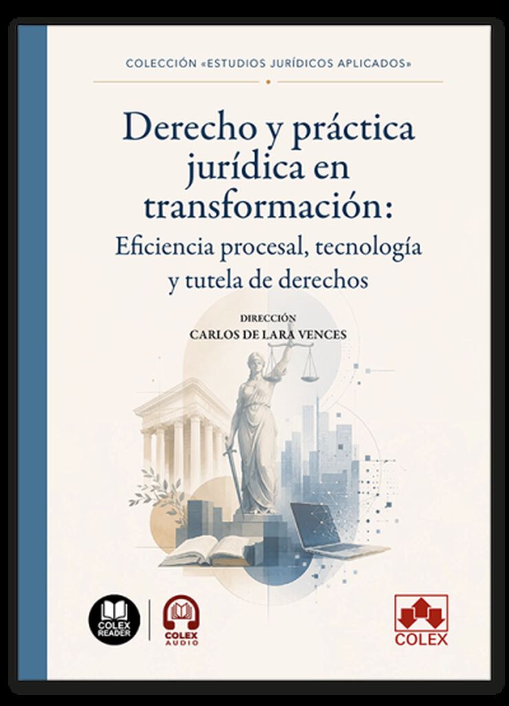 Derecho y pr&aacute;ctica jur&iacute;dica en transformaci&oacute;n: eficiencia procesal, tecnolog&iacute;a y tutela de derechos