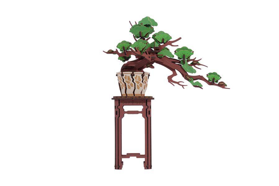 Maqueta Rolife Bonsai Pine