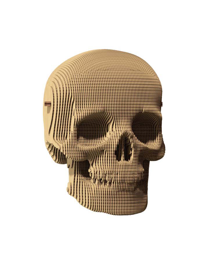 Cartonic Calavera