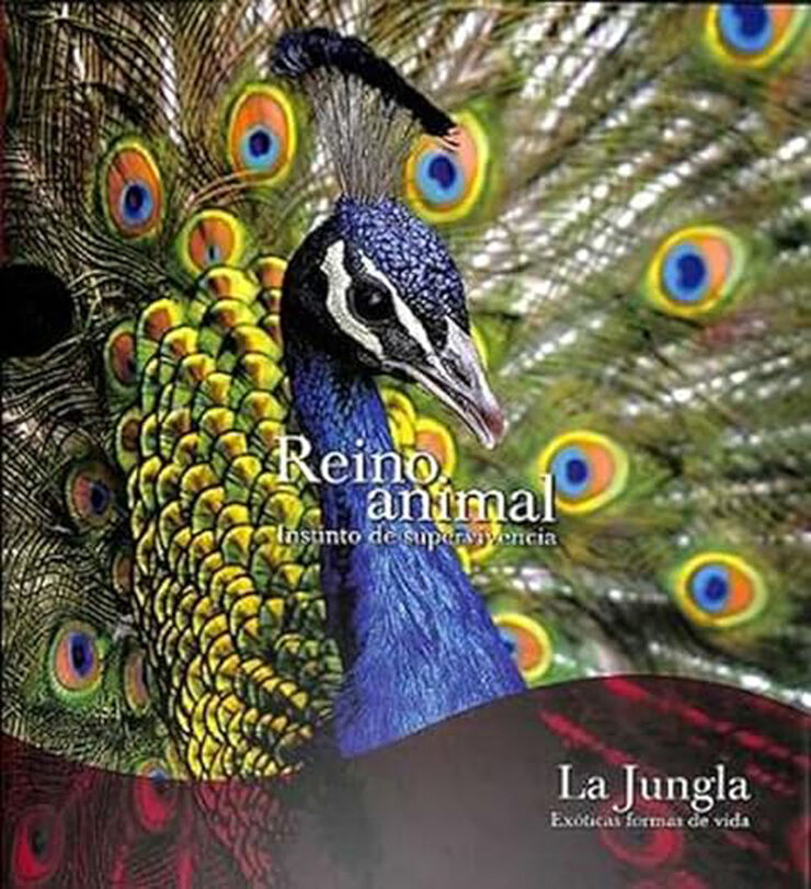 La jungla SE