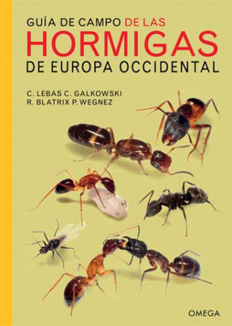 Guía de campo de las hormigas de Europa