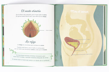 El pequeño atlas de la intimidad: la vulva, la vagina, la regla y más