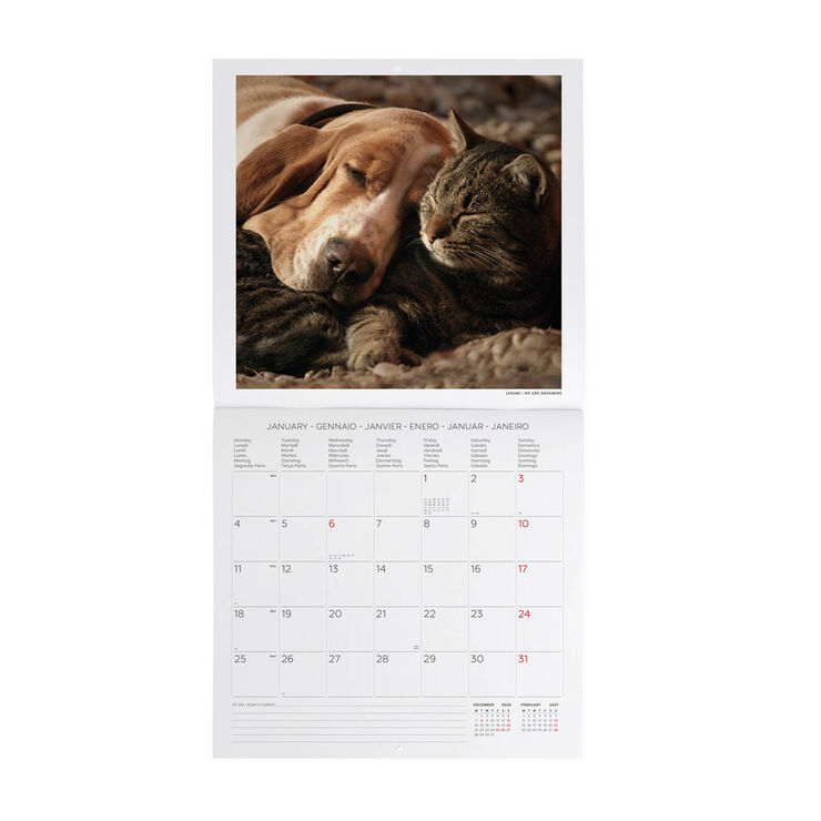 Calendario Legami 30x29 Pared Best Friends Multiling&uuml;e 2027