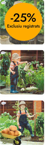 Puzzle Vida de una planta