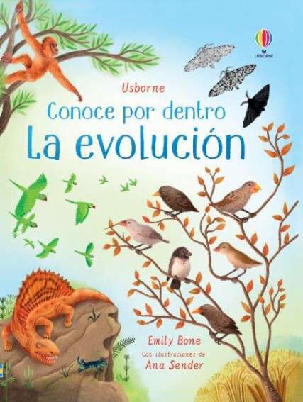 La evoluci&oacute;n