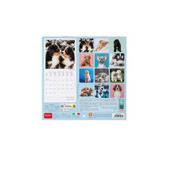 Calendari paret Legami 18X18 2024 Puppies