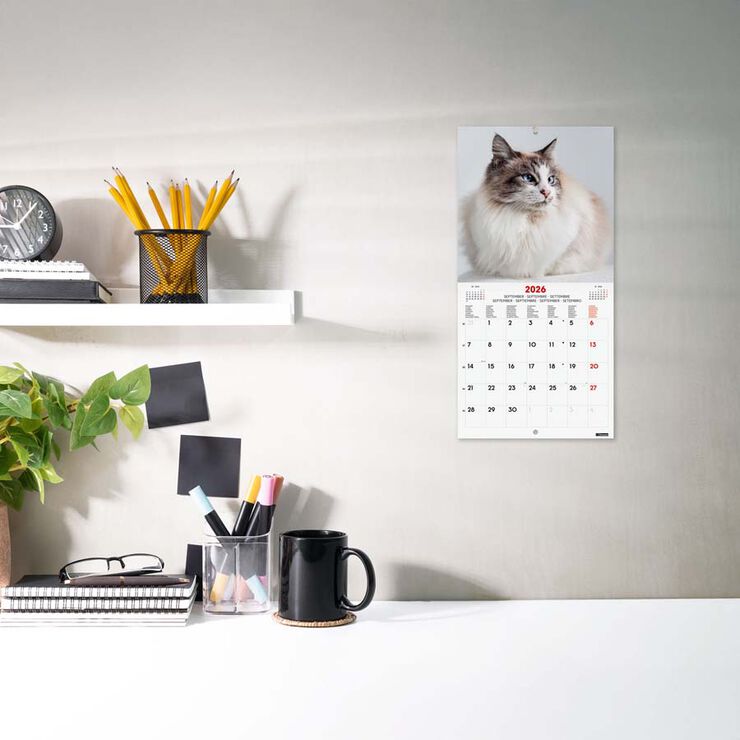 Calendario pared Finocam 18x18 2026 Cats multilingüe