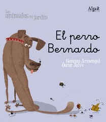 El Perro Bernardo El Perro Bernardo