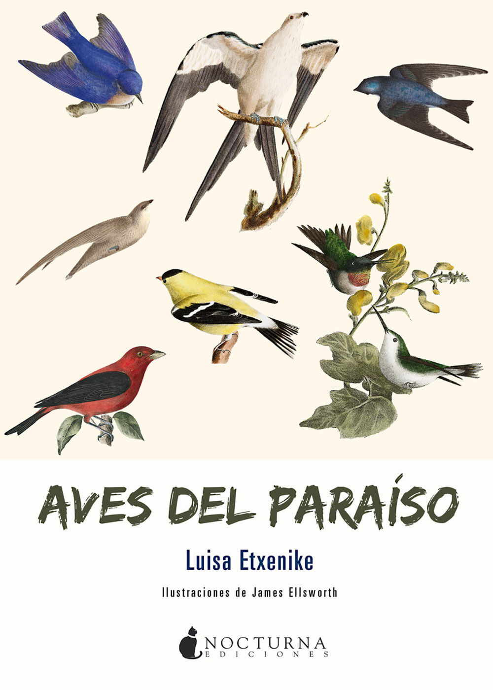 Aves el para&iacute;so