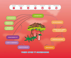 Proyecto Expplora Mercado Medieval (Nivel 2) 18
