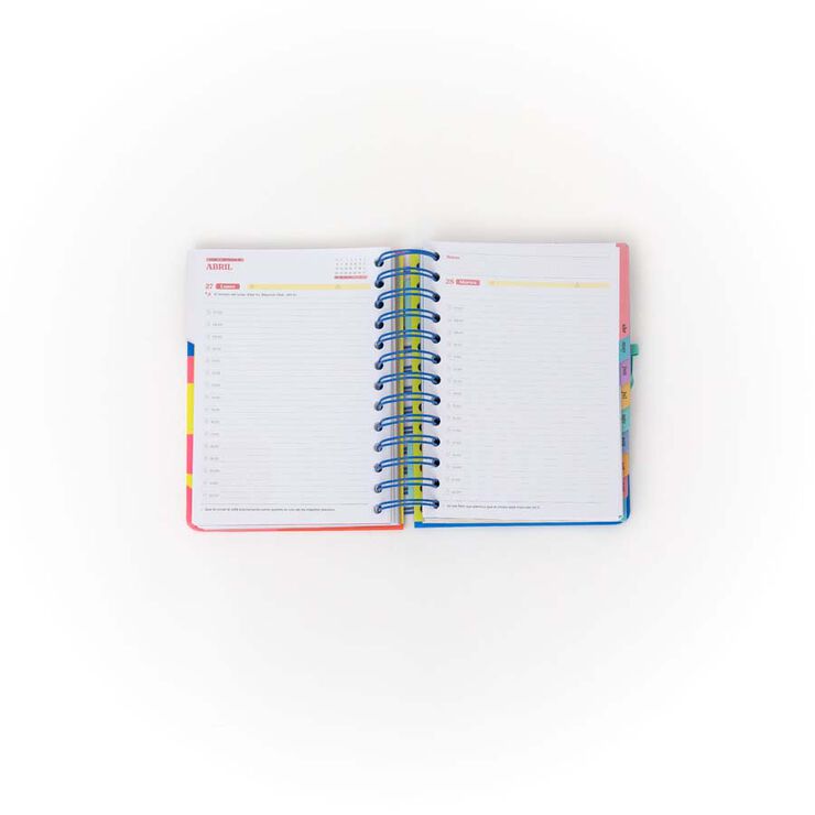 Agenda Mr.Wonderful Petita día/pág 2026 cast Cuando...