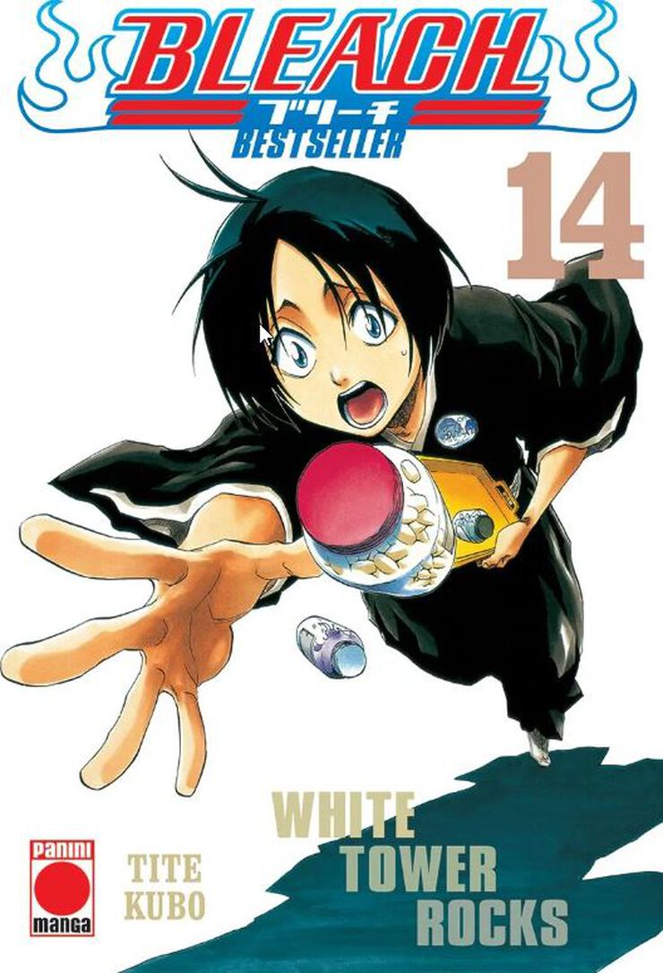 Bleach Bestseller 14