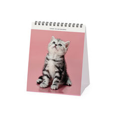 Calendario Legami 12x14,5 Sobremesa Kittens Multiling&uuml;e 2027