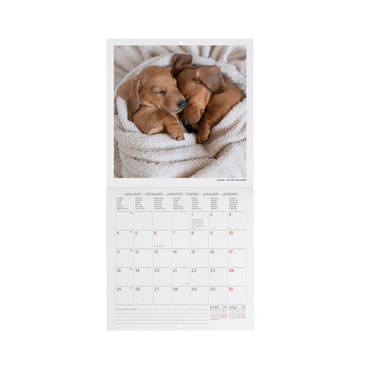 Calendario Legami 18x18 Pared Puppies Multiling&uuml;e 2027