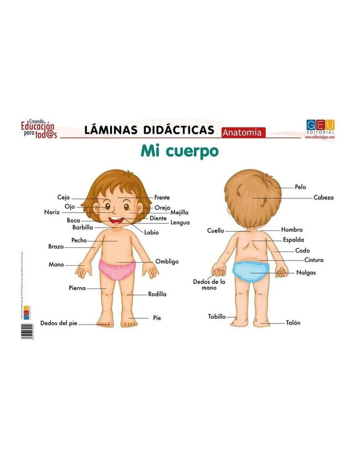 L&aacute;minas Did&aacute;cticas Anatom&iacute;a: Mi Cuerpo
