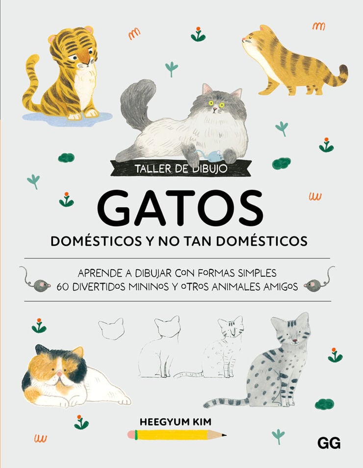 Taller de dibujo: Gatos dom&eacute;sticos y no tan dom&eacute;sticos