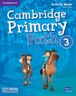Camb Primary Path 3 Wb