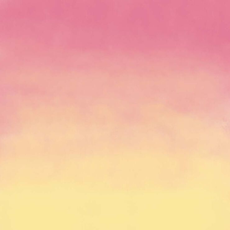 Infusible Ink transfer 11x30cm pink lemon 2 fulls