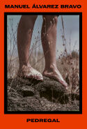 Manuel &Aacute;lvarez Bravo. Pedregal