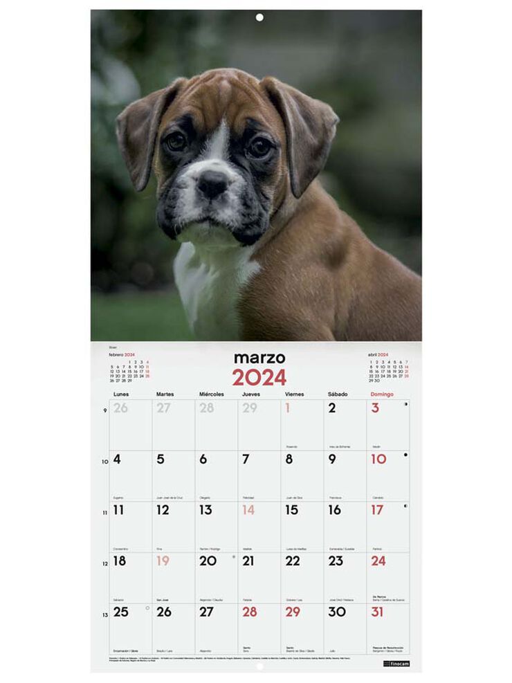 Calendario pared Finocam 30X30 2024 Cachorros cas