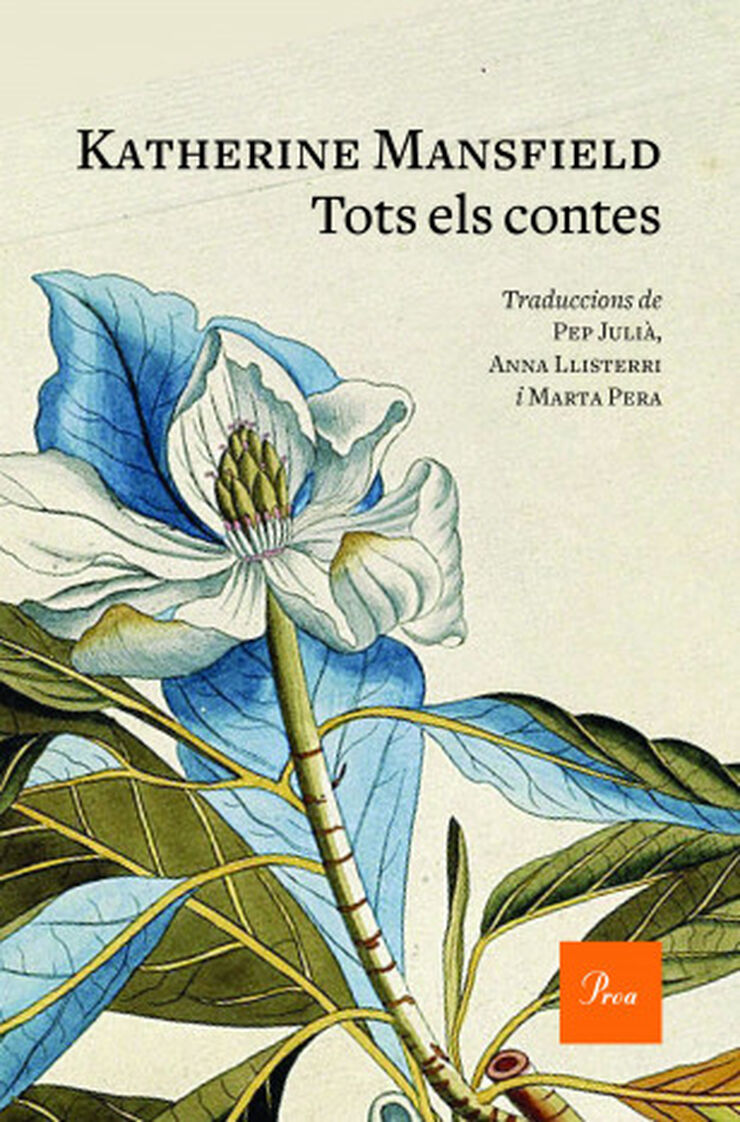 Tots els contes