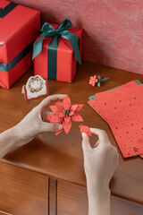 Maqueta de Flor de Navidad