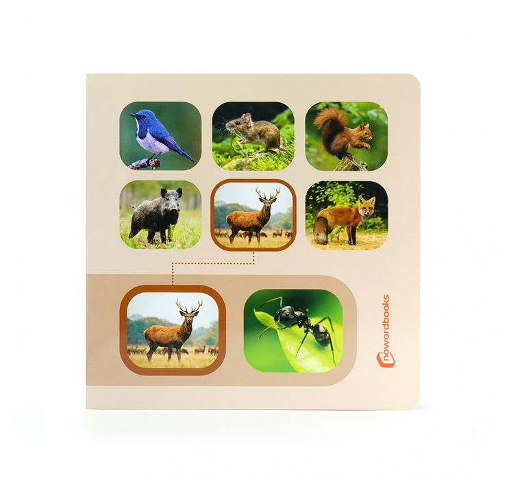 Cerca i troba. Animals del Bosc