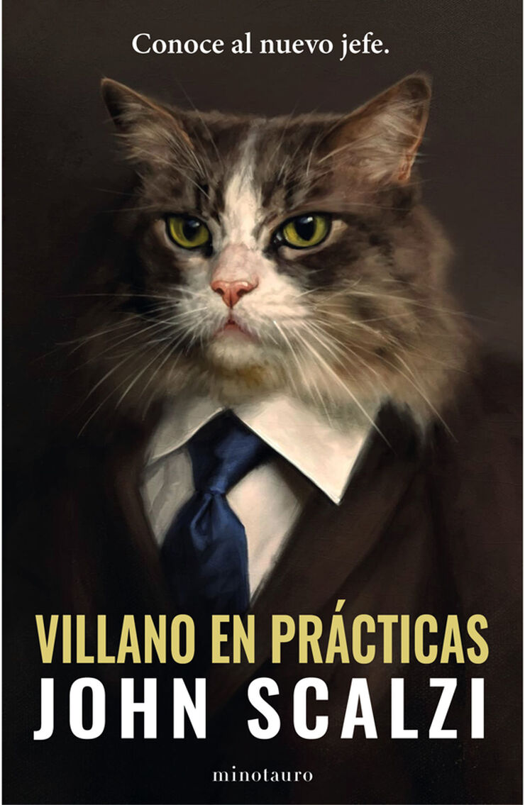 Villano en pr&aacute;cticas