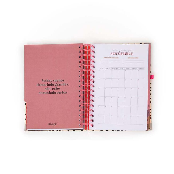 Agenda Mr.Wonderful Office día/pág 2026 cast Aquí y ahora