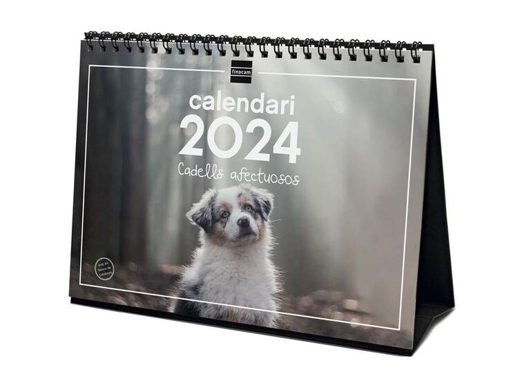 Calendari sobretaula Finocam 2024 Cadells cat