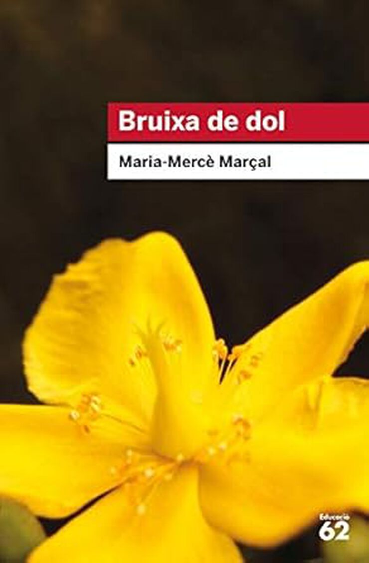 Bruixa de dol