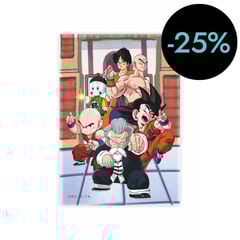 Magnètic Torneig Bola de Drac