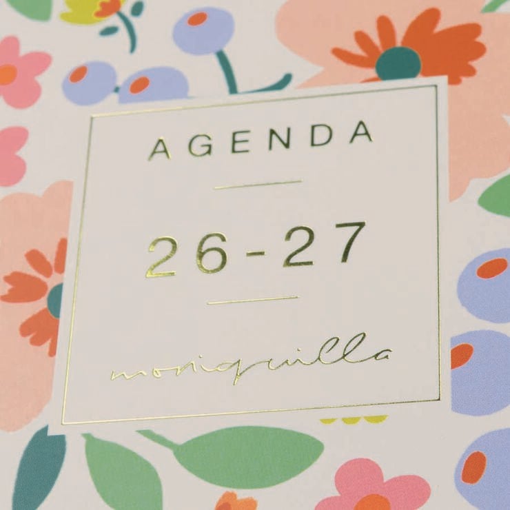 Agenda Finocam Moniquilla E10 Sem/Vista Castellano 2026-27 Verde