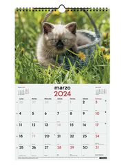 Calendario pared Finocam Esp 25X40 2024 Gatitos cas