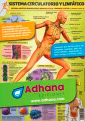 SISTEMA CIRCULAORIO / LINFÁTICO 8436005170912 Primaria Alfaomega 8436005170912