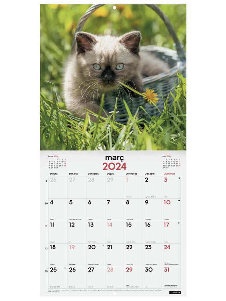 Calendario pared Finocam 30X30 2024 Gatitos cat