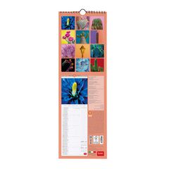 Calendario Pared Legami m/vista 2025 Succulents