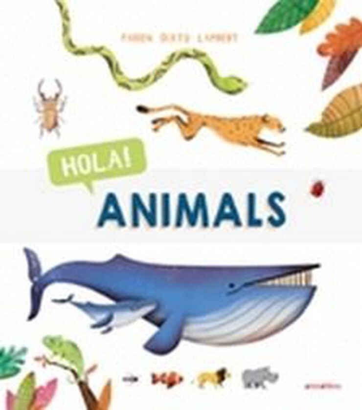 Hola! Animals