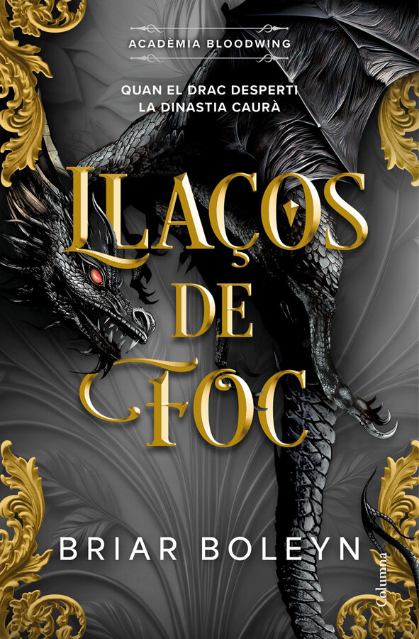 Lla&ccedil;os de foc (Acad&egrave;mia Bloodwing 2)