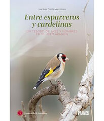 Entre esparveros y cardelinas Entre esparveros y cardelinas